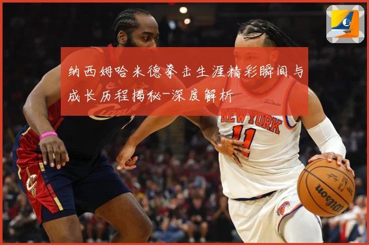 纳西姆哈米德拳击生涯精彩瞬间与成长历程揭秘-深度解析